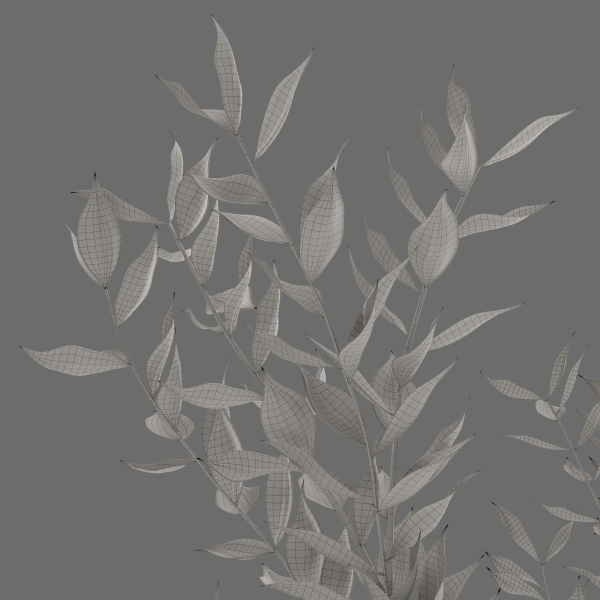 Decor branch Ruscus in a vase Set 61