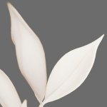 Decor branch Ruscus in a vase Set 61