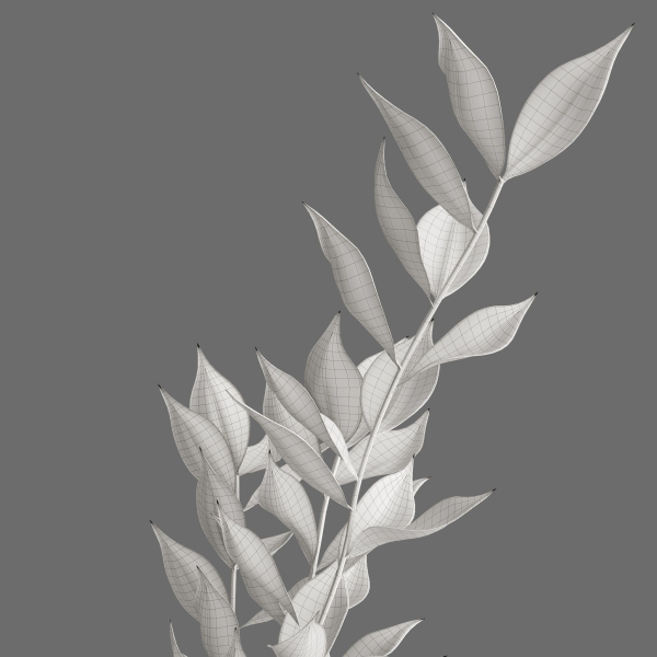 Decor branch Ruscus in a vase Set 61