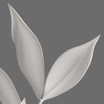 Decor branch Ruscus in a vase Set 61