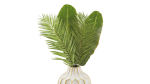 decor set 01