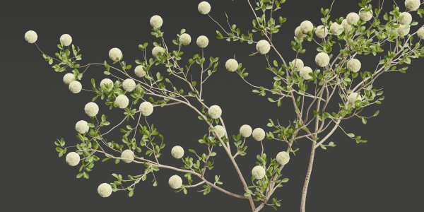 Decorative Branches vol 163-Blender