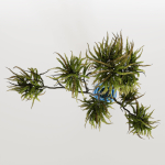 Decorative branches with green flowers