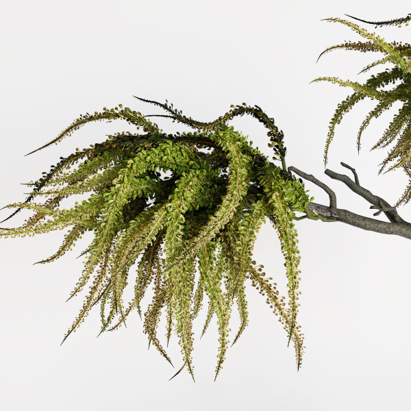 Decorative branches with green flowers