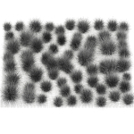 decorative bushes feather grass grass for landscape design 1150