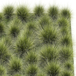 decorative bushes feather grass grass for landscape design 1150