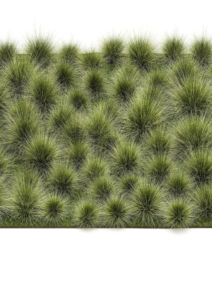 decorative-bushes-feather-grass-grass-for-landscape-design-1150-3d-model-77cffadfcb