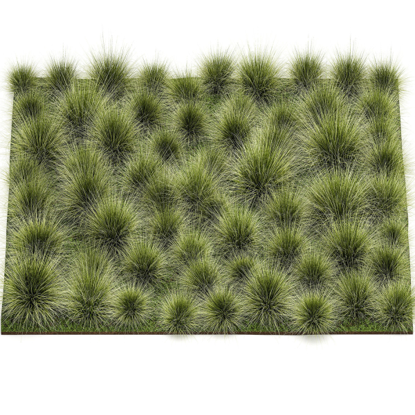 decorative bushes feather grass grass for landscape design 1150