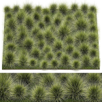 decorative bushes feather grass grass for landscape design 1150