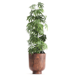 Decorative Cannabis in flowerpots 838