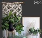 Decorative Flowers for design Plants