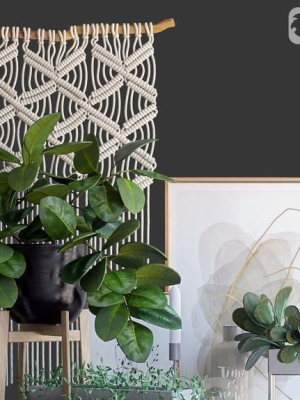Decorative Flowers for design Plants