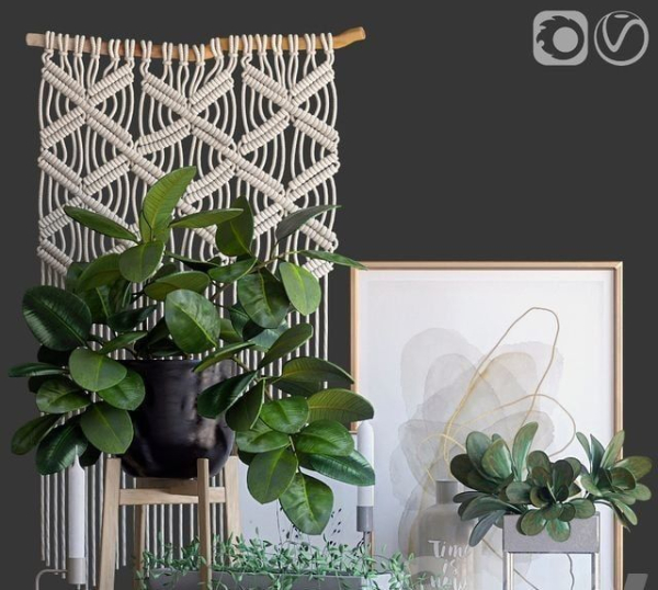 Decorative Flowers for design Plants
