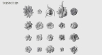 Decorative Flowers Set