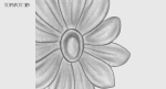 Decorative Flowers Set