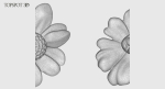 Decorative Flowers Set
