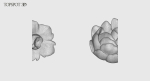 Decorative Flowers Set