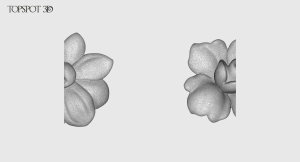 Decorative Flowers Set