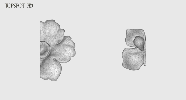 Decorative Flowers Set