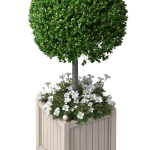 Decorative Front  Entrance Porch  Tree in a flower bed