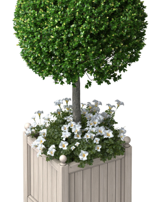 decorative-front-entrance-porch-tree-in-a-flower-bed-3d-model-c1f9d92155