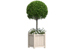 Decorative Front  Entrance Porch  Tree in a flower bed