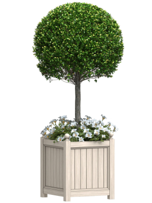 Decorative Front  Entrance Porch  Tree in a flower bed