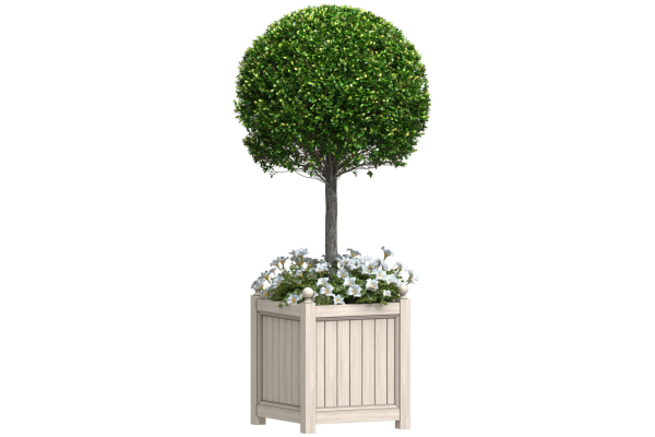 Decorative Front  Entrance Porch  Tree in a flower bed