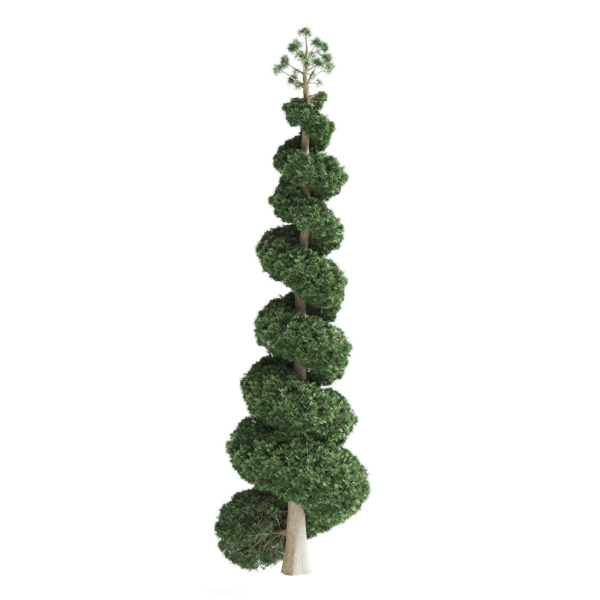 Decorative garden tree