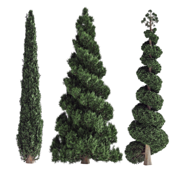 Decorative garden tree