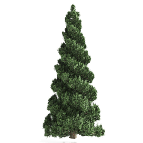 Decorative garden tree