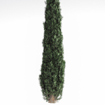Decorative garden tree