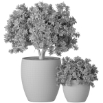 Decorative garden tree Magnolia shrub vase pot Provence style