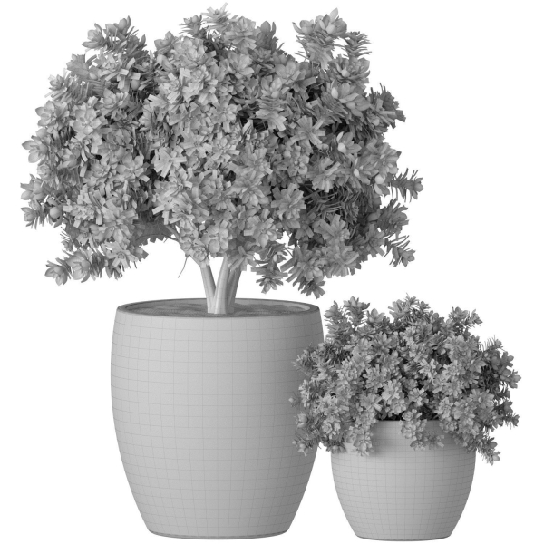 Decorative garden tree Magnolia shrub vase pot Provence style