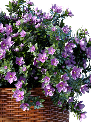 decorative-garden-tree-magnolia-shrub-vase-pot-provence-style-3d-model-358a341d74