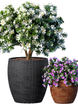 Decorative garden tree Magnolia shrub vase pot Provence style