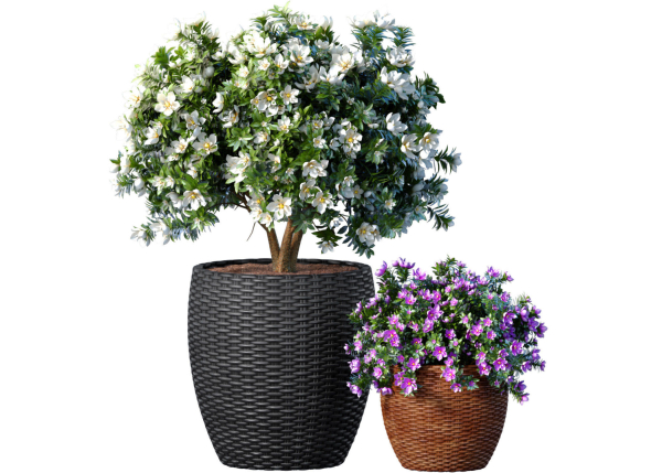 Decorative garden tree Magnolia shrub vase pot Provence style