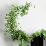 Decorative Green Wild Bull vol 183-Blender