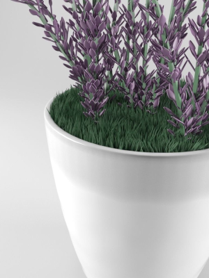 decorative-lavender-3d-model-max-obj-fbx