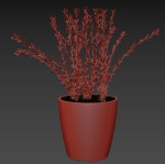 Decorative lavender