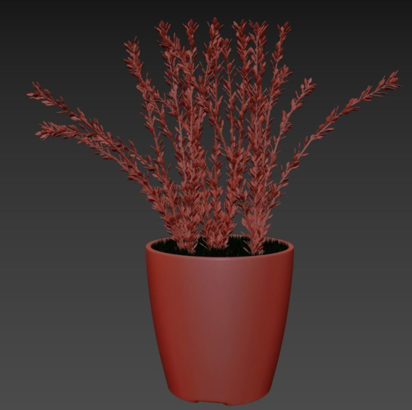 Decorative lavender