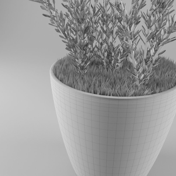 Decorative lavender