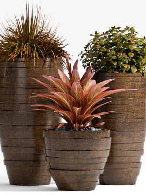 Decorative plant set-66