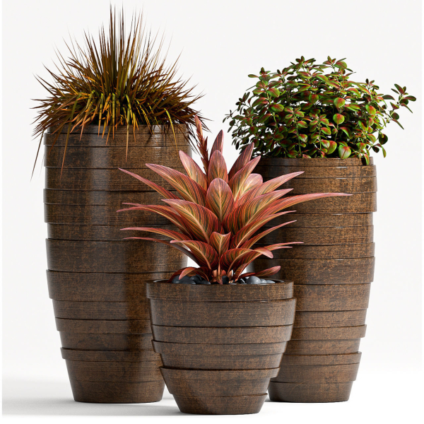 Decorative plant set-66