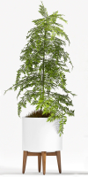 Decorative plant set-70