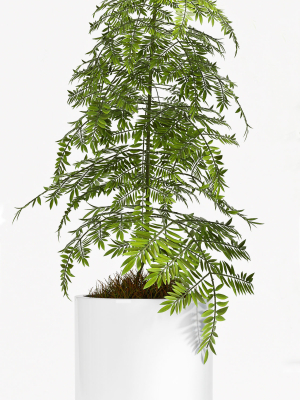 decorative-plant-set-70-3d-model-max-obj