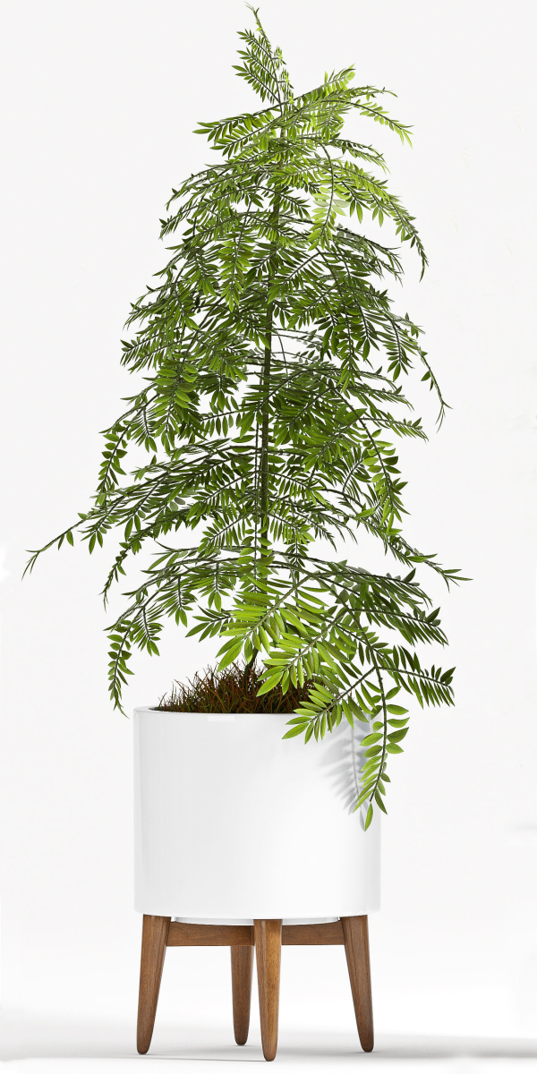 Decorative plant set-70