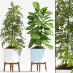 Decorative plant set-70