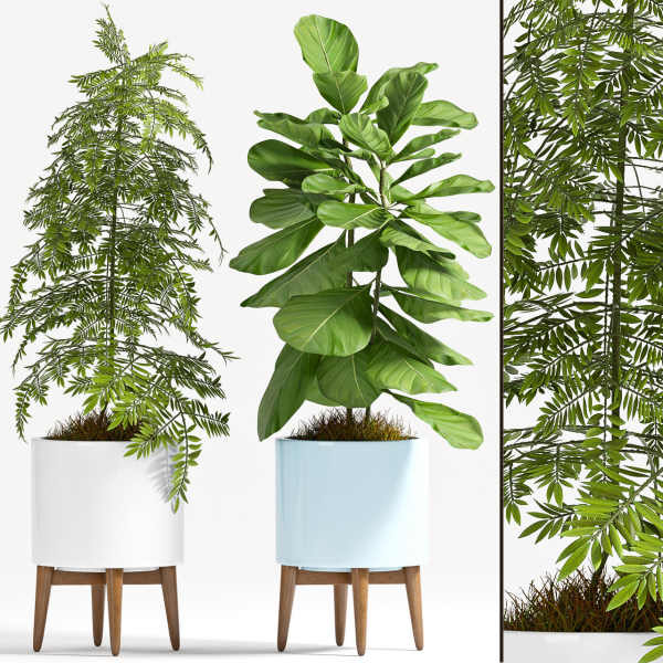 Decorative plant set-70
