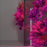 decorative set 49